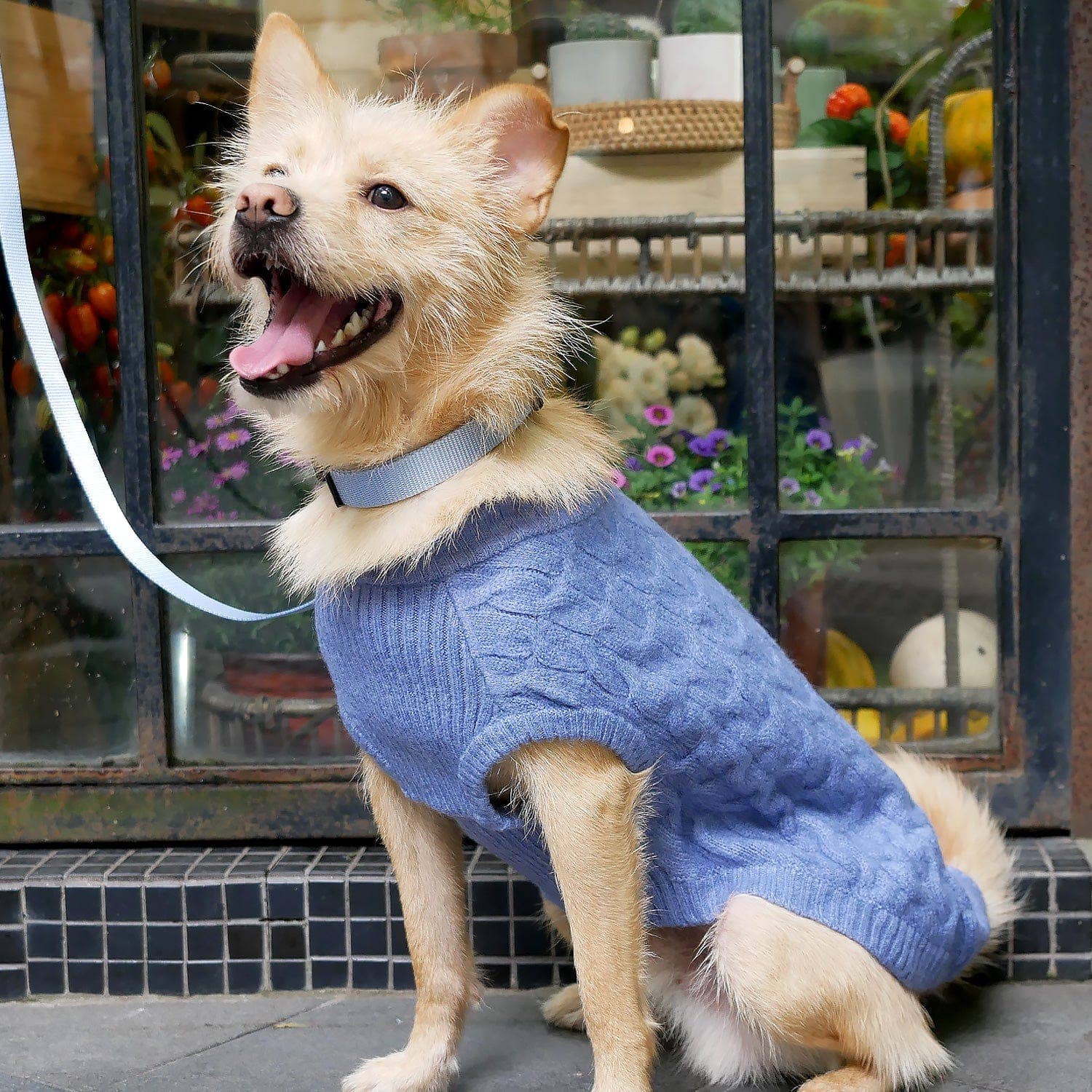 Blueberry Pet - Wholesale Pet Sweater - Dog - Custom-knit & Dyed Ultra-Soft Brushed Fuzzy Yarn Dog Sweater32