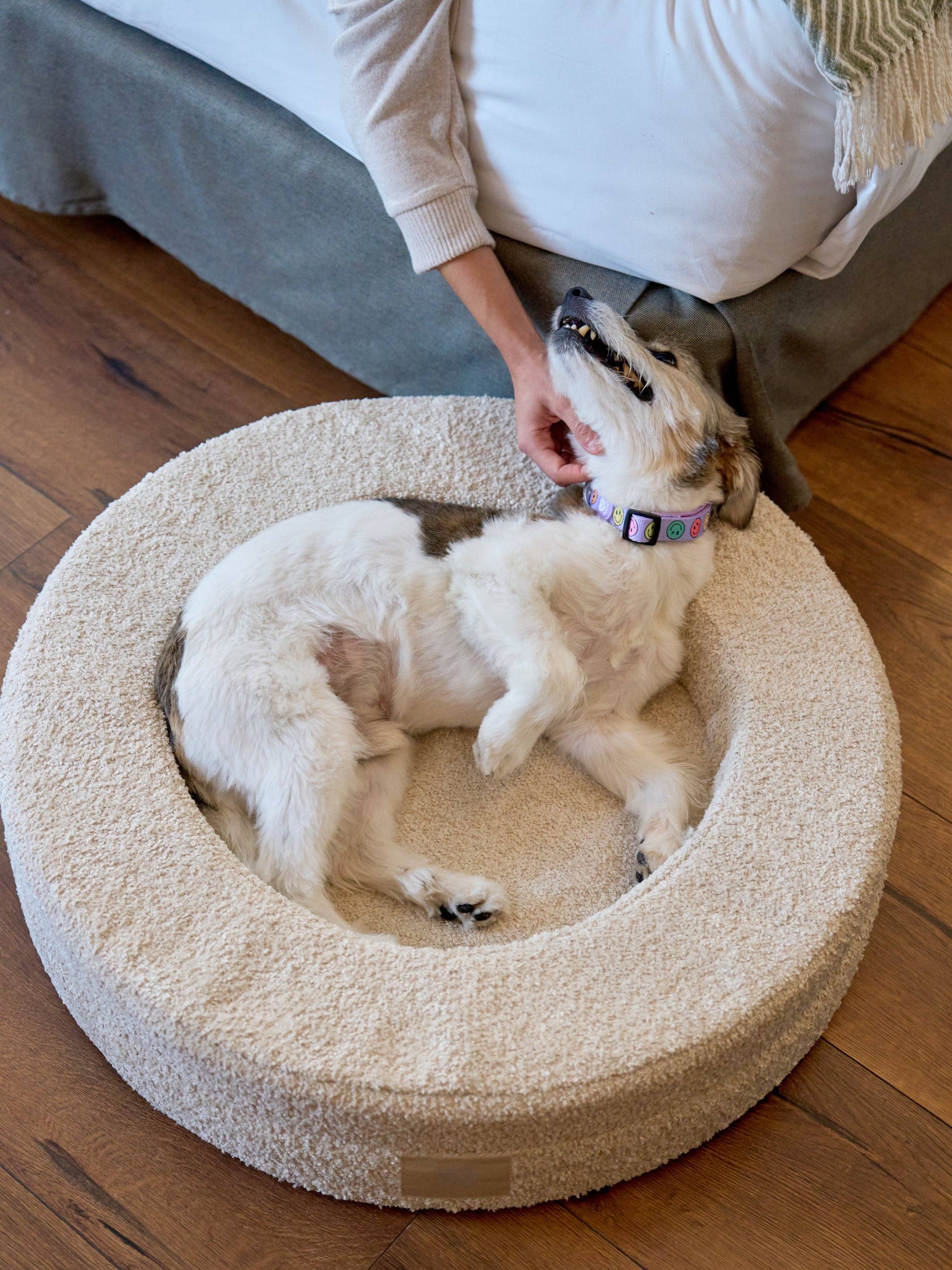 Dukier - Vente Panier – chien - Dukier Lit pour Chien Orthopédique avec Matelas Mémoire de Forme6