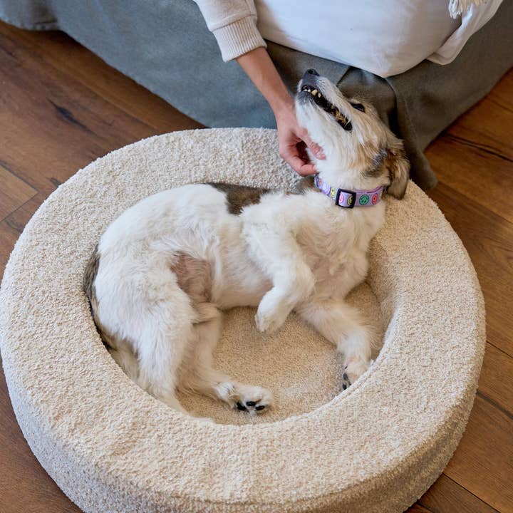 Dukier - Wholesale Pet Bed - Dog - DUKIER DOG BED6