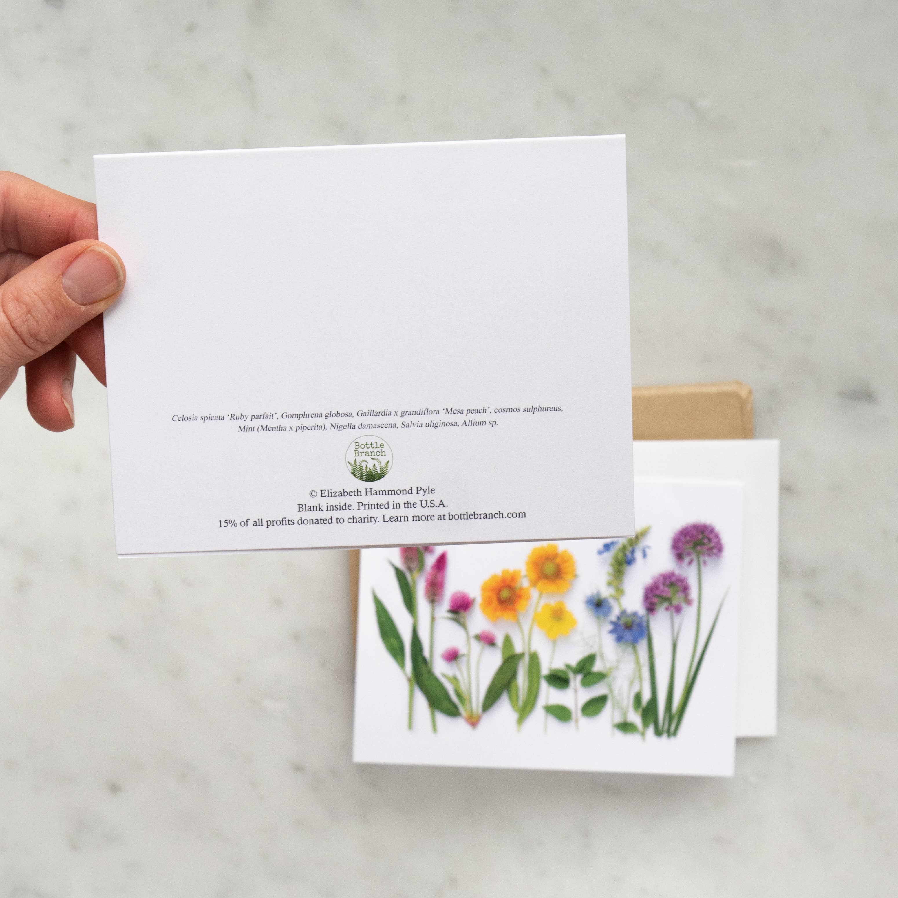 Bottle Branch - Wholesale Everyday Greeting Card - Card - Rainbow with Allium1