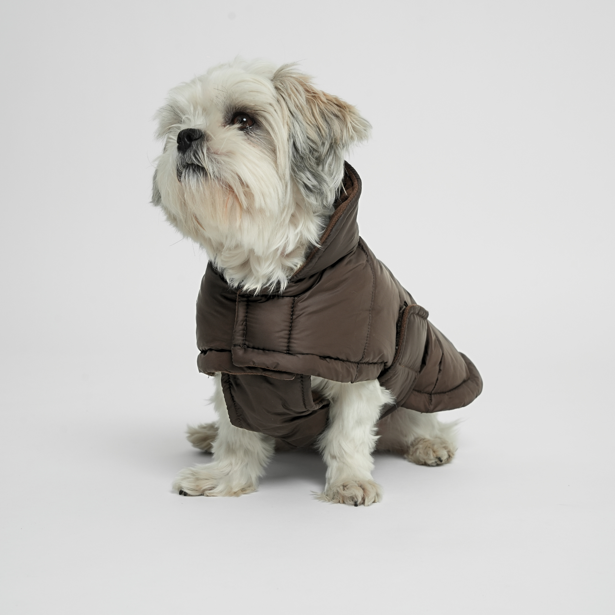 Staey - Wholesale Pet coat – Dog - Nora Dog Coat | Espresso4