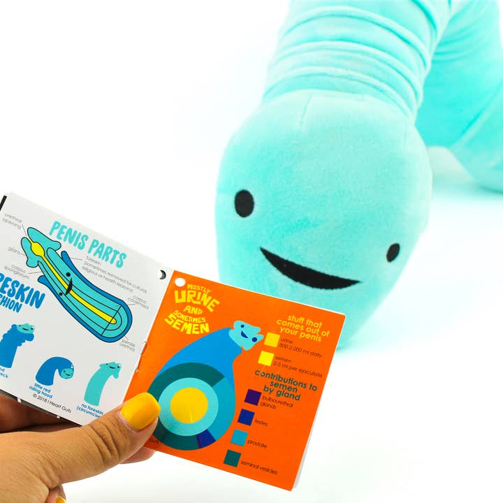 I Heart Guts | Organ Plushies Wholesale - Wholesale Gag Gift/Novelty Gift - Penis Neck Pillow With Foreskin Pocket7