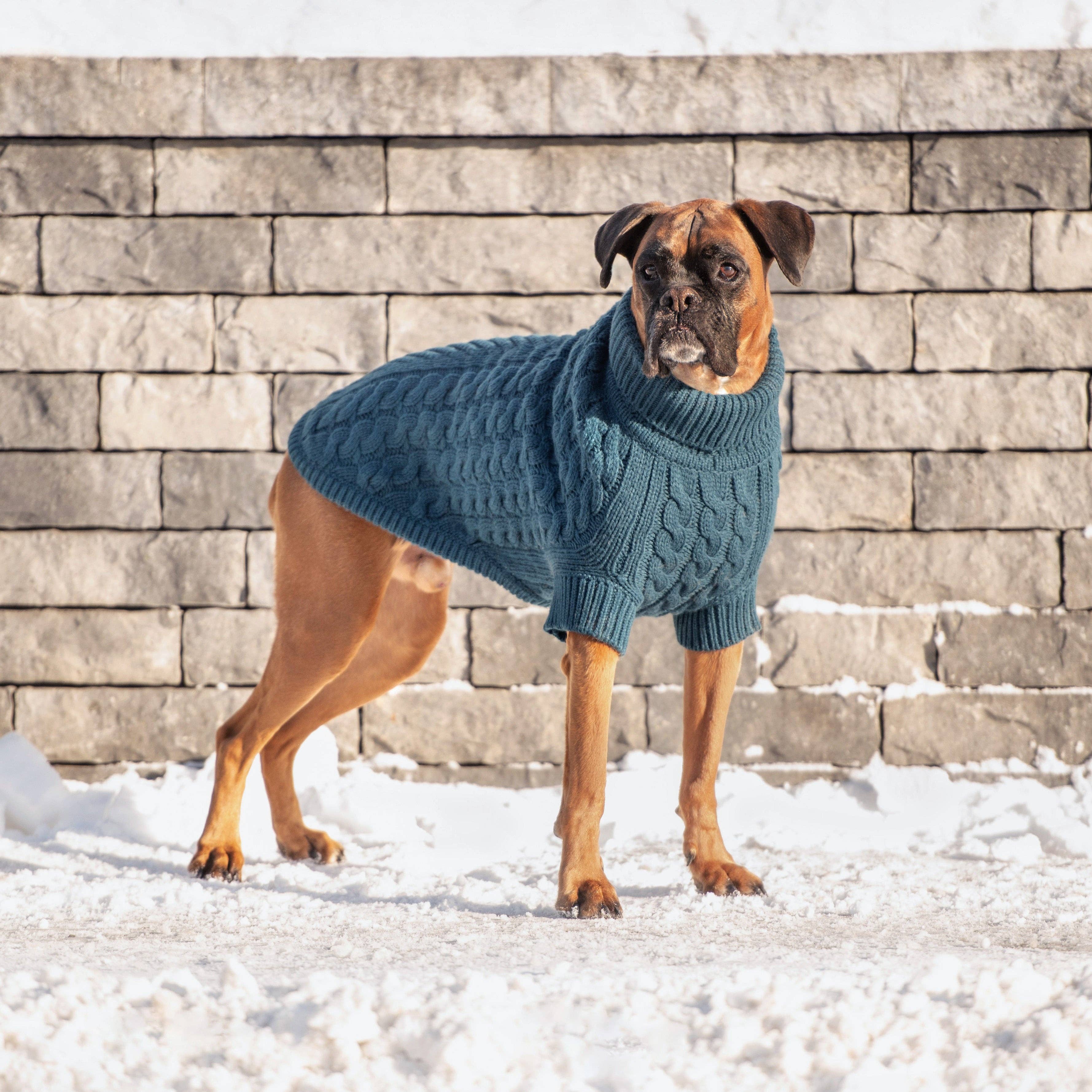 GF Pet – Engroshandel Sweater - Hund – Chalet Sweater - Mørk Teal4