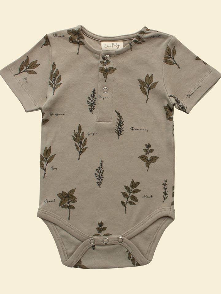 Romper met korte mouwen - Herb voor wholesale door Ziwi Baby