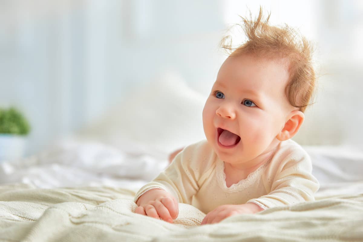 Bambini Infant Wear inc. - Wholesale Clothing Set - Baby - 5-Piece Pastel Interlock Hanging Gift Set - Bunny Print5