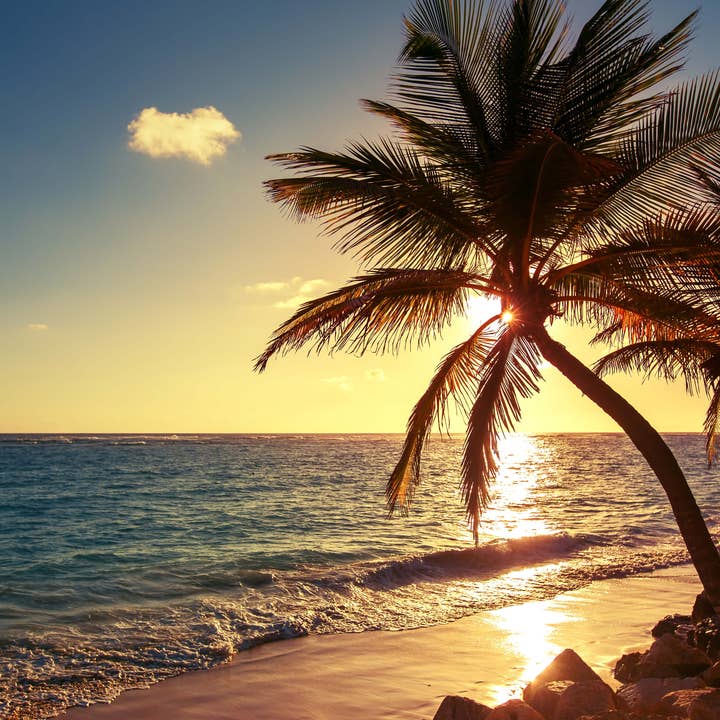 cover-your-desk - Wholesale Desk Pad - Vinyl desk pad - palm trees on the beach