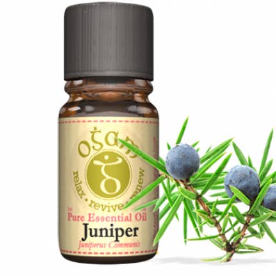 Juniper for wholesale by Ogam Oils