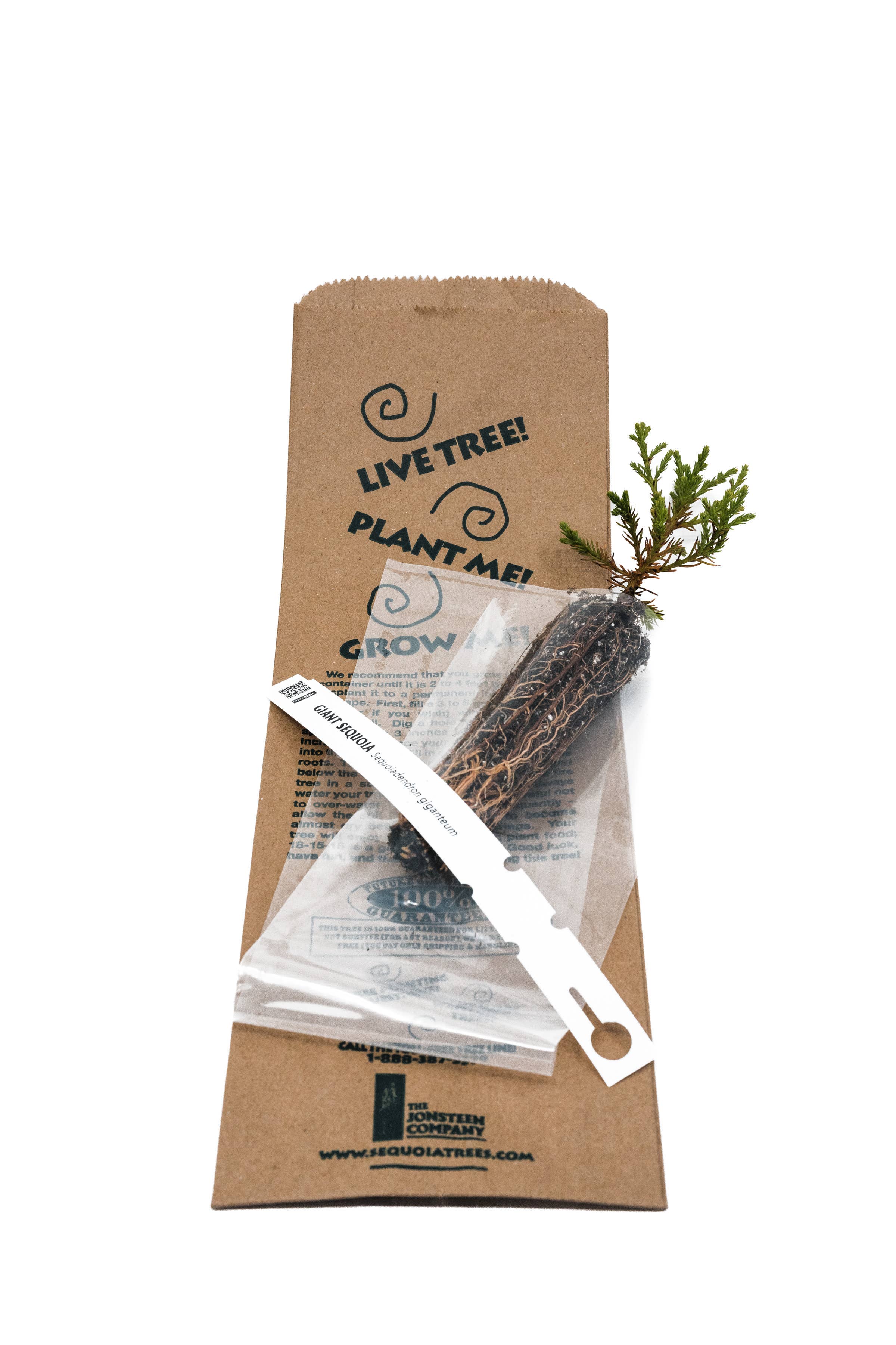 The Jonsteen Company - Vente Graines de plantes - Sacs Kraft Semis15