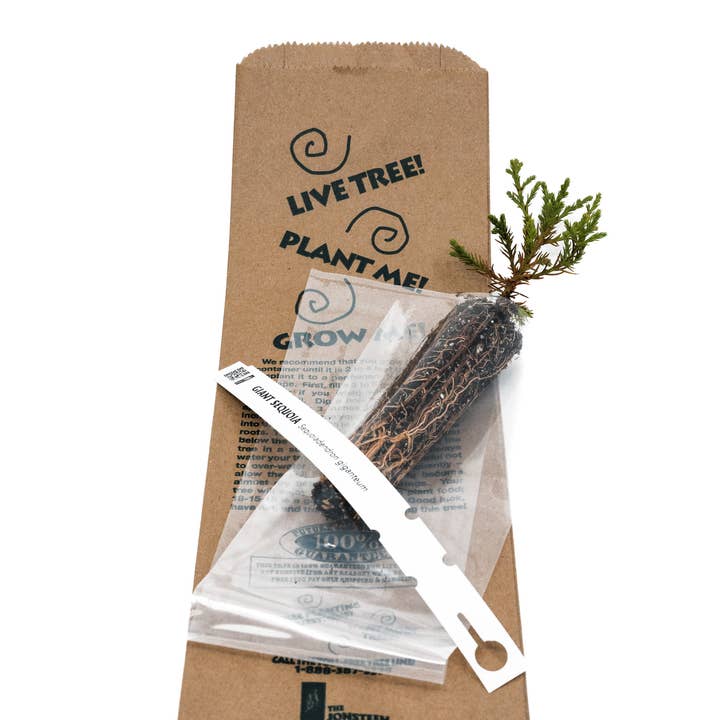 The Jonsteen Company - Wholesale Plant Seeds - Kraft Bag Seedlings2