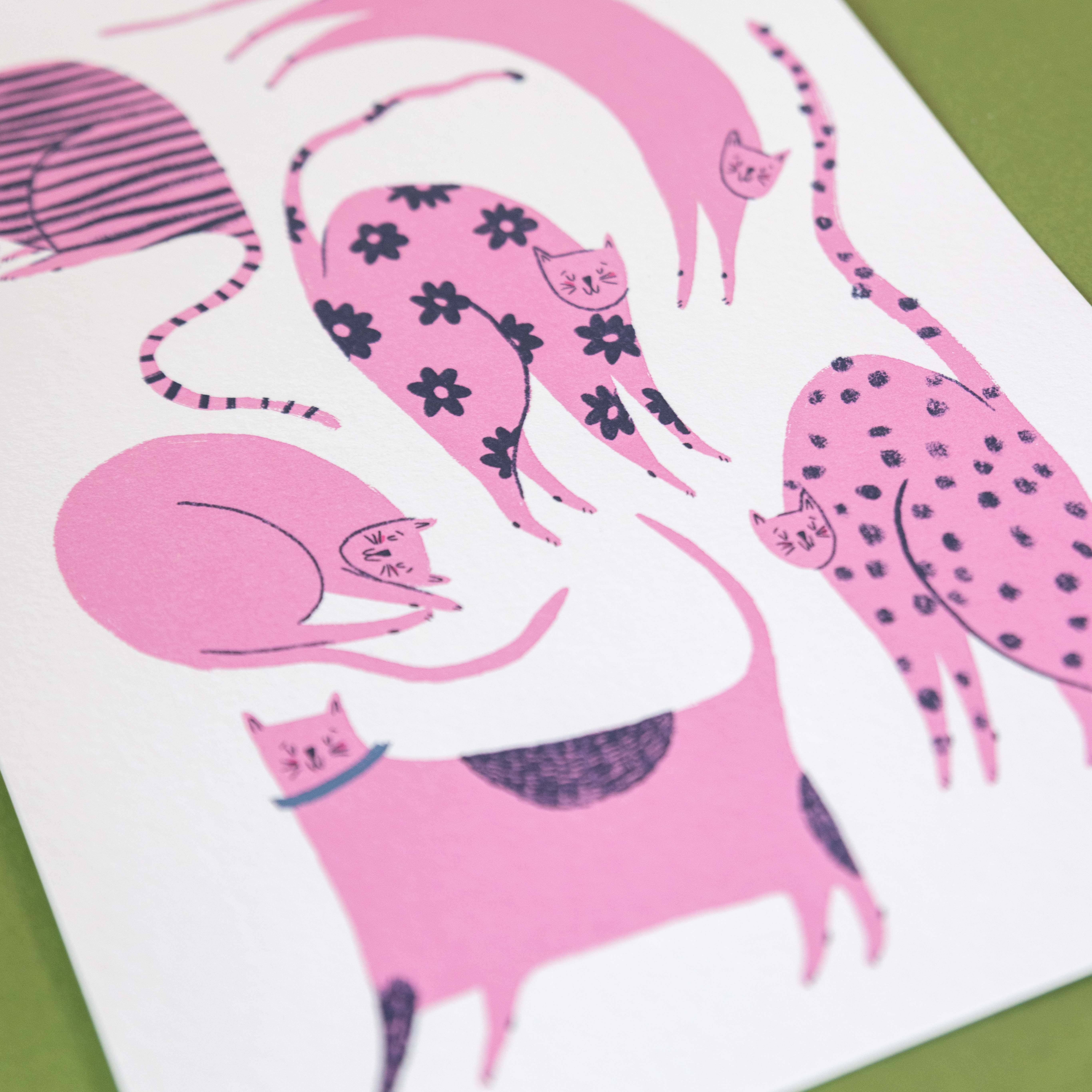 Knotty Knotty - Wholesale Art Print - Cool Cats Pink - Art Print1