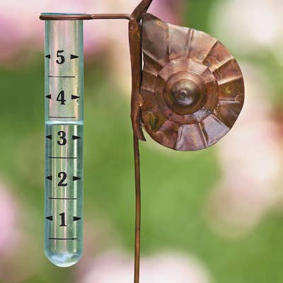 Ancient Graffiti - Wholesale Garden Tool - Flamed Snail Rain Gauge, Staked