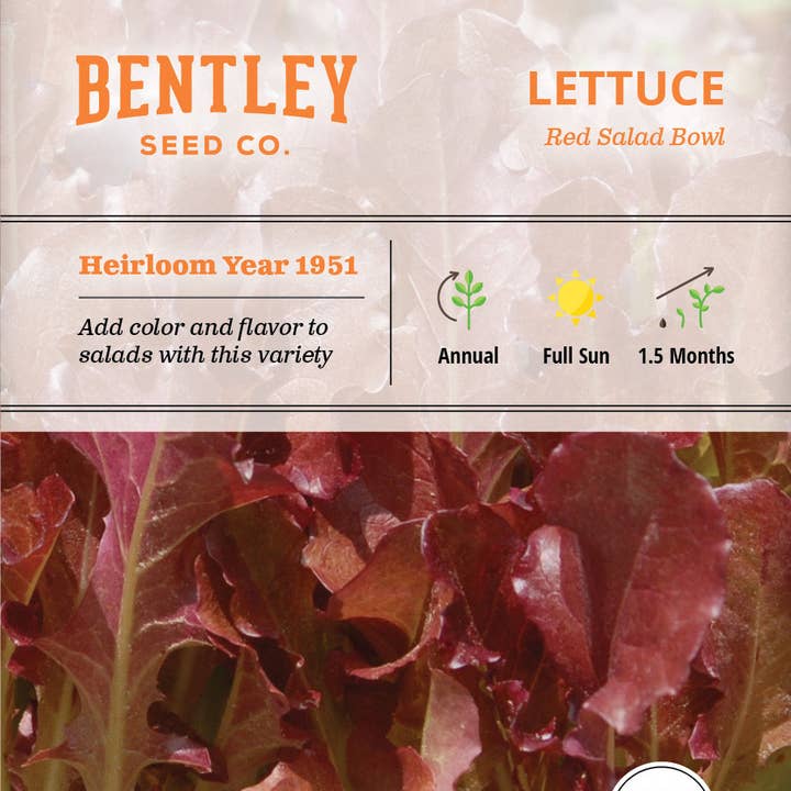 Bentley Seed Co. - Wholesale Plant Seeds - Lettuce, Red Salad Bowl Seed Packets