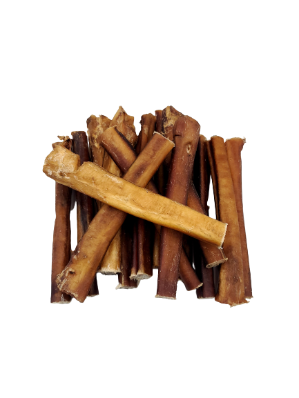 Dibo Pet Foods - Wholesale Pet Treats - Dog - Bully Stick – Low Odor Pizzle – STANDARD - 6"9