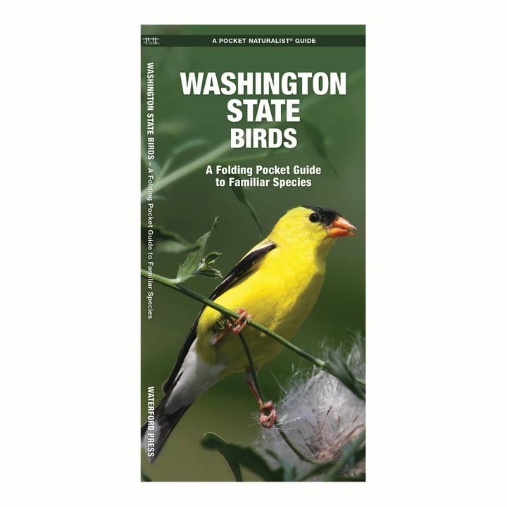 Waterford Press - Wholesale Nature Guide - Washington State Birds Nature Guide