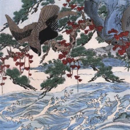 FANGE 12X12 DOPPELKARTEN NC 32181 für den Großhandel von Phenicia