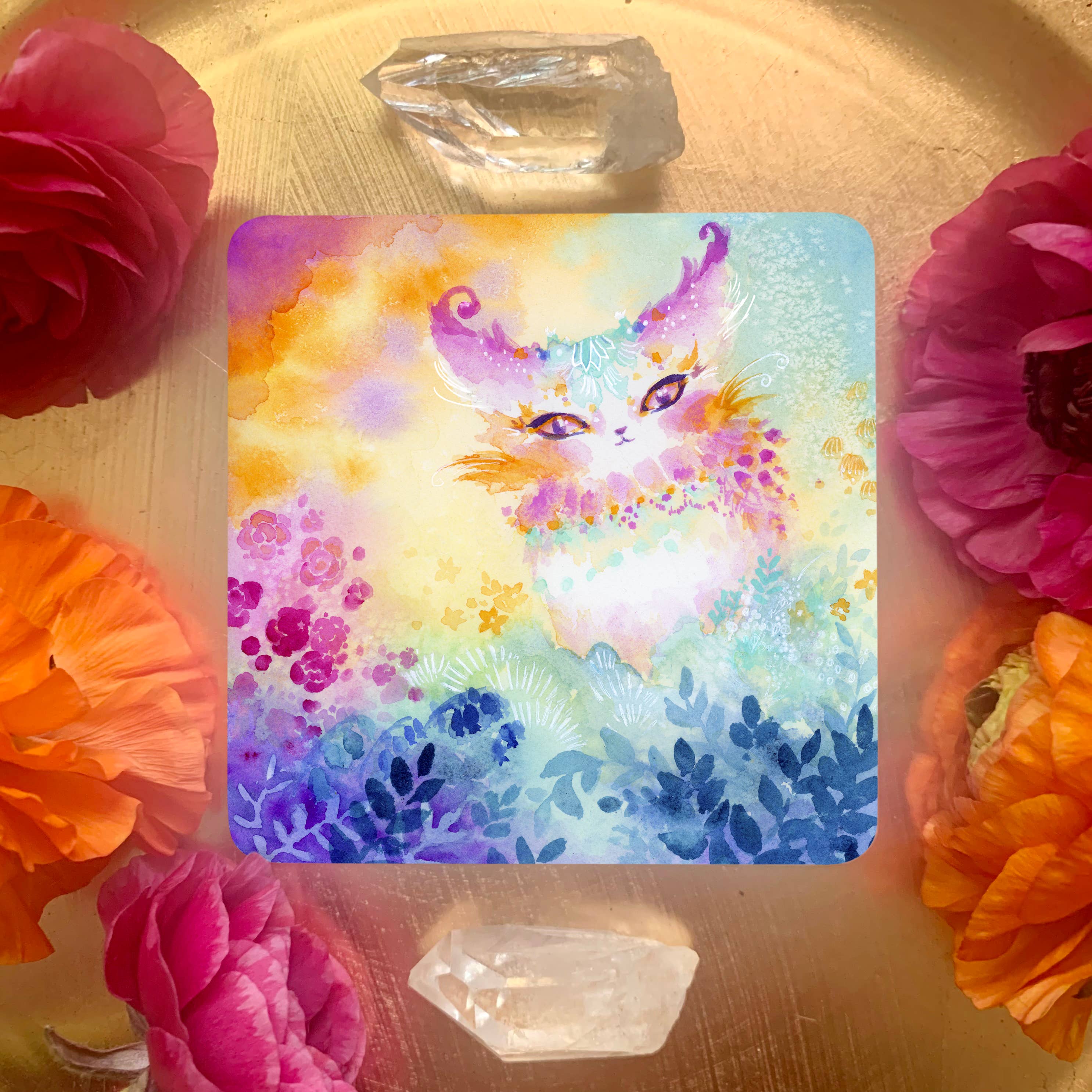 Nicole Piar - Vendita all'ingrosso Tarocchi - Mazzo di Carte Oracolo Witch Cats16