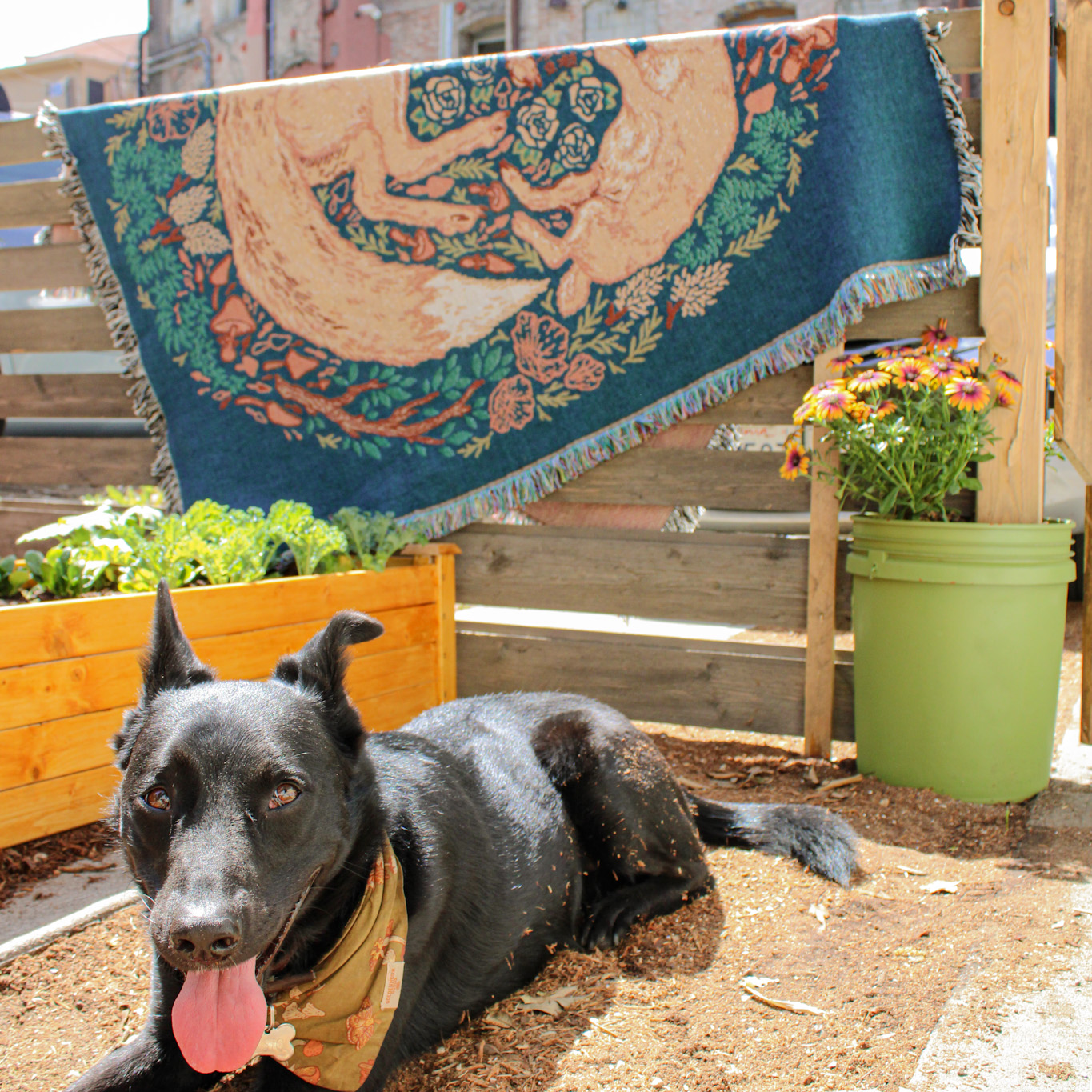 Mustard Beetle - Wholesale Throw Blanket - Woven Blanket Tapestry: Fox & Hare7