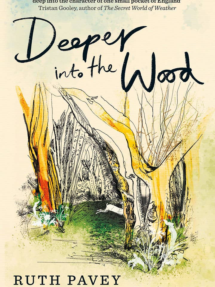 Dybere ind i skoven af Ruth Pavey for engroshandel hos Boon Books
