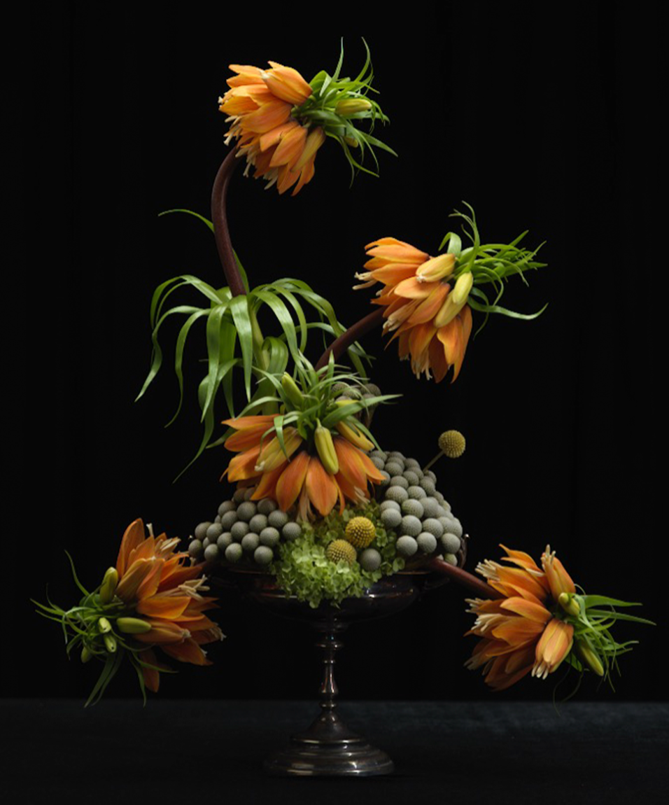 Garden Glory - Wholesale Plant Pot - Flower Frog Large 1