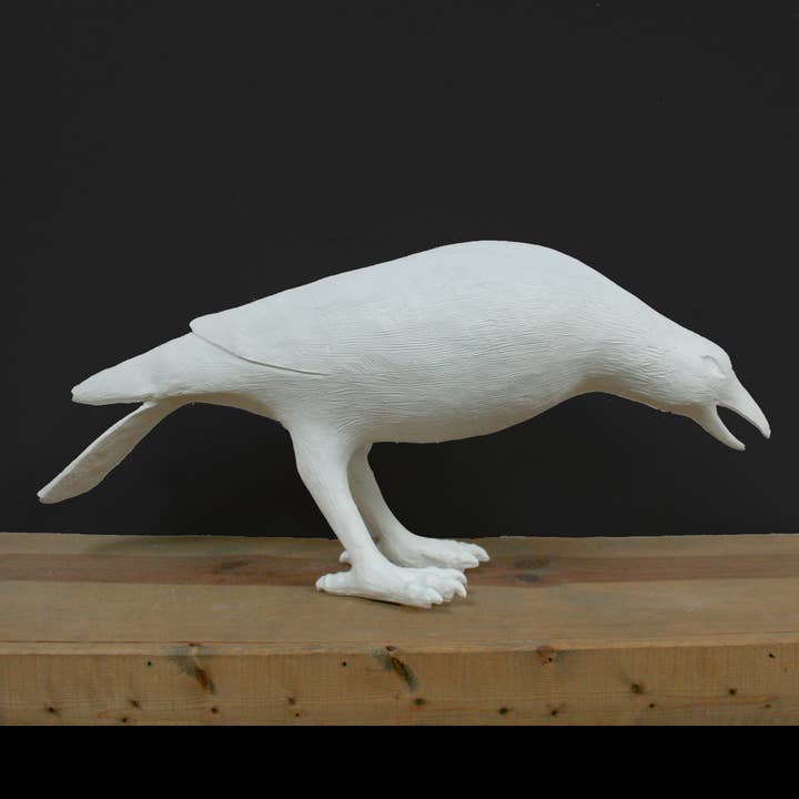 White Raven I for wholesale by Modern World by Contrast Inc.