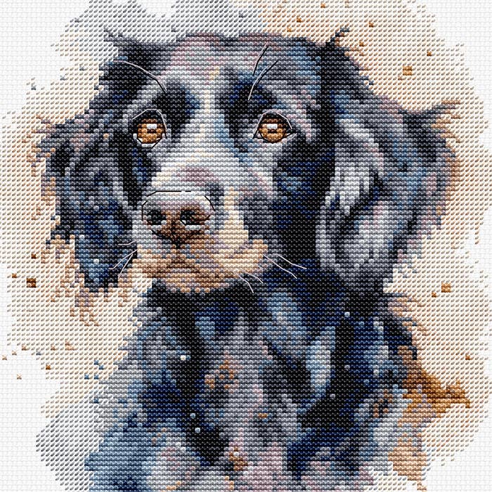 Luca-S - Vendita all'ingrosso Attrezzatura per ricamo/punto croce - Kit Punto Croce con Telaio Incluso Luca-S - BC213 Il Border Collie