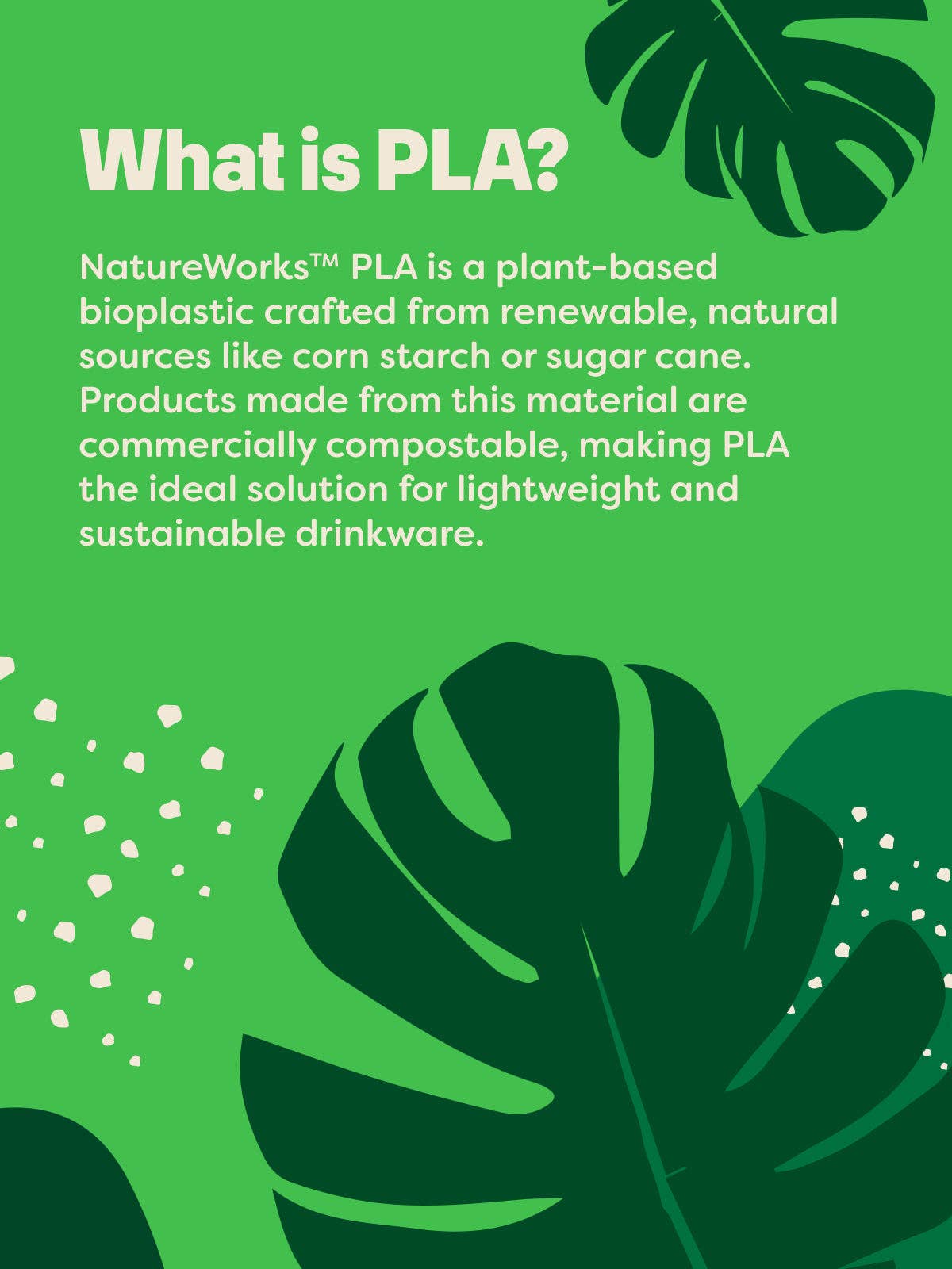 TOSSWARE - Wholesale Disposable Cup - TOSSWARE NATURAL Arc - Plant Based 12 oz Cups  Set of 10004