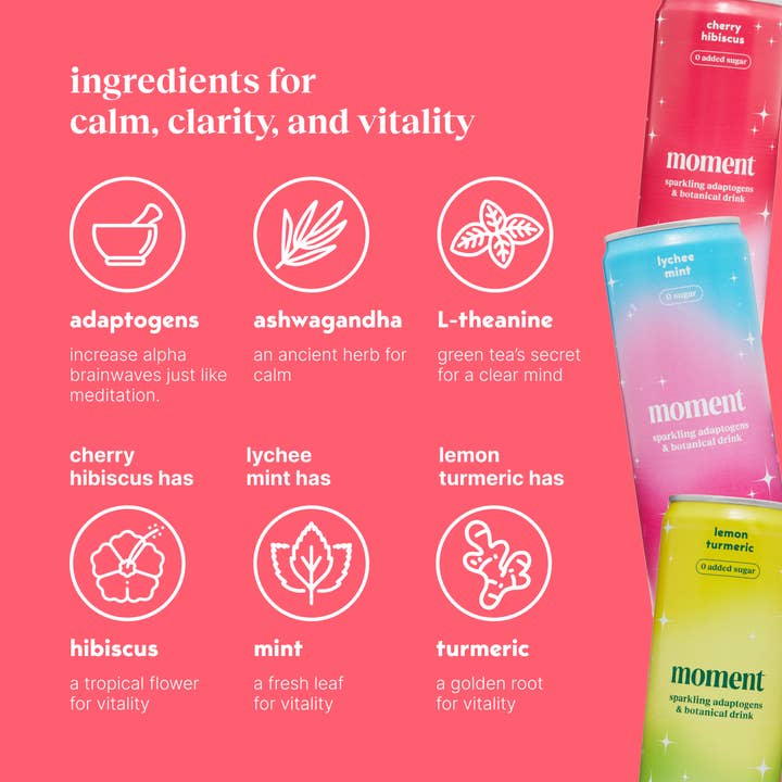 Moment - Wholesale Flavored/Infused Water (Non-Carbonated) - Moment Botanical Water Mixed Variety 18 pack