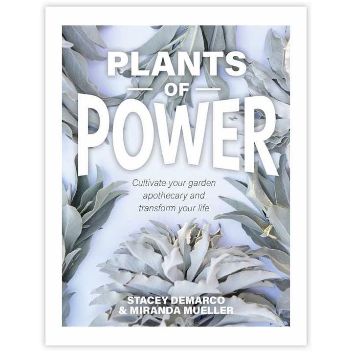 Plants of Power by Stacey Demarco for wholesale by Simon & Schuster