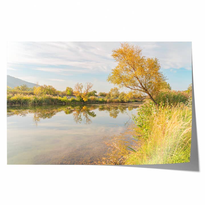 Paysage d'automne coloré II | Tirage photographique d'art pour la vente par Natasha Riha Photography