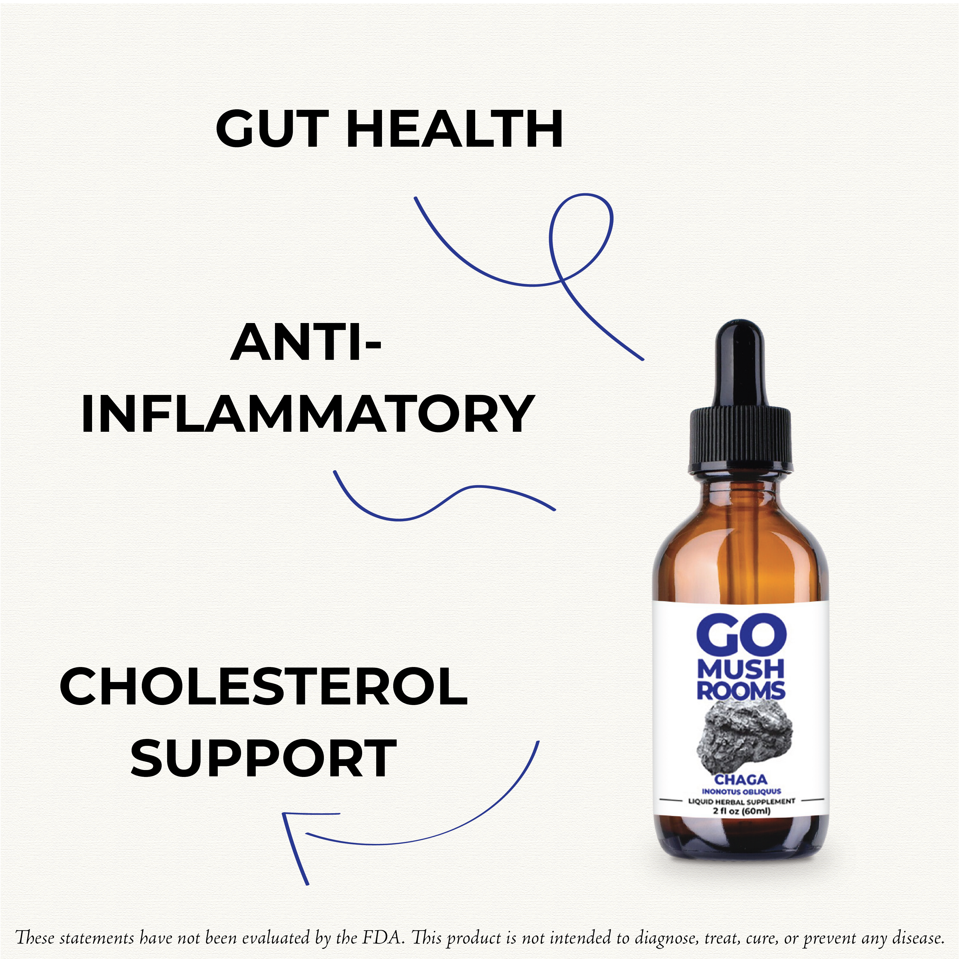 GO Mushrooms - Wholesale Tincture - CHAGA Medicinal Tincture1