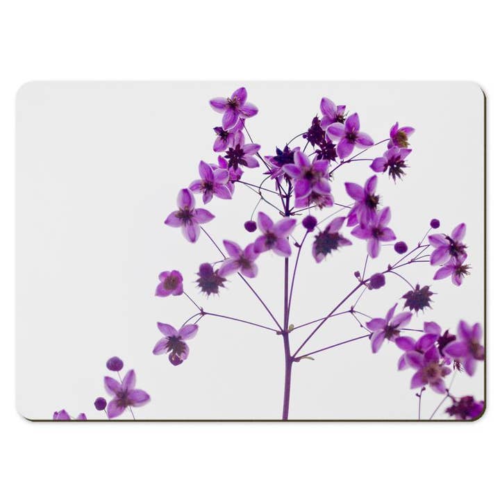 Gregory Dennis Design - Wholesale Placemat - 6 Floral Placemats - Thalictrum5