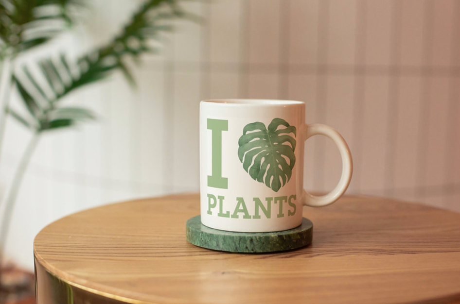 Greens N' Things LLC - Wholesale Coffee Mug - I Love Plants Coffee Mug1