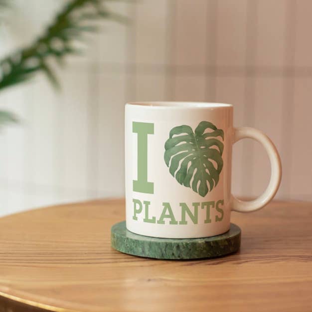 Greens N' Things LLC - Wholesale Coffee Mug - I Love Plants Coffee Mug1