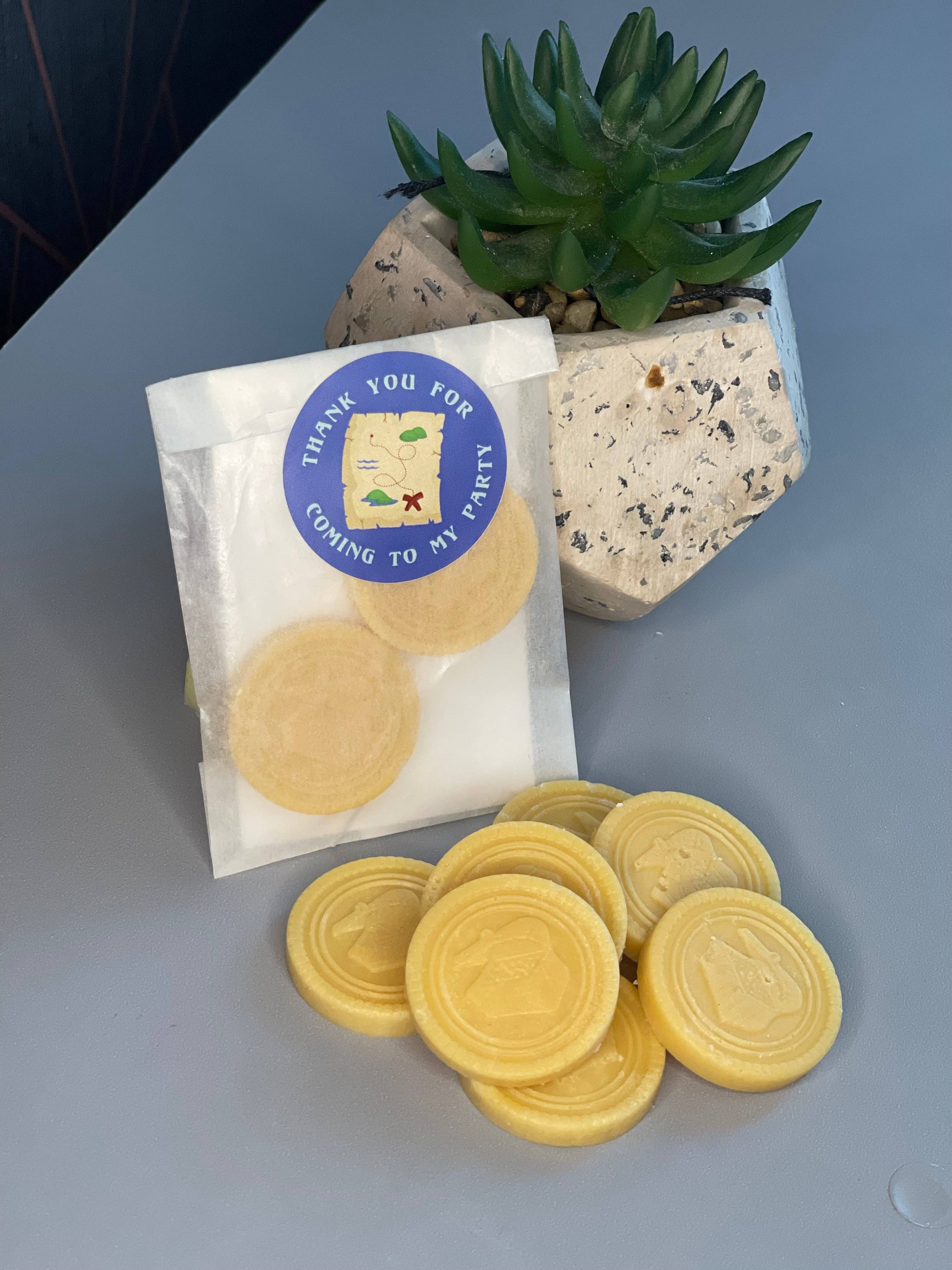 Poppy & Bear - Wholesale Party Favor - Treasure Chest Coin Party Bag Fillers2