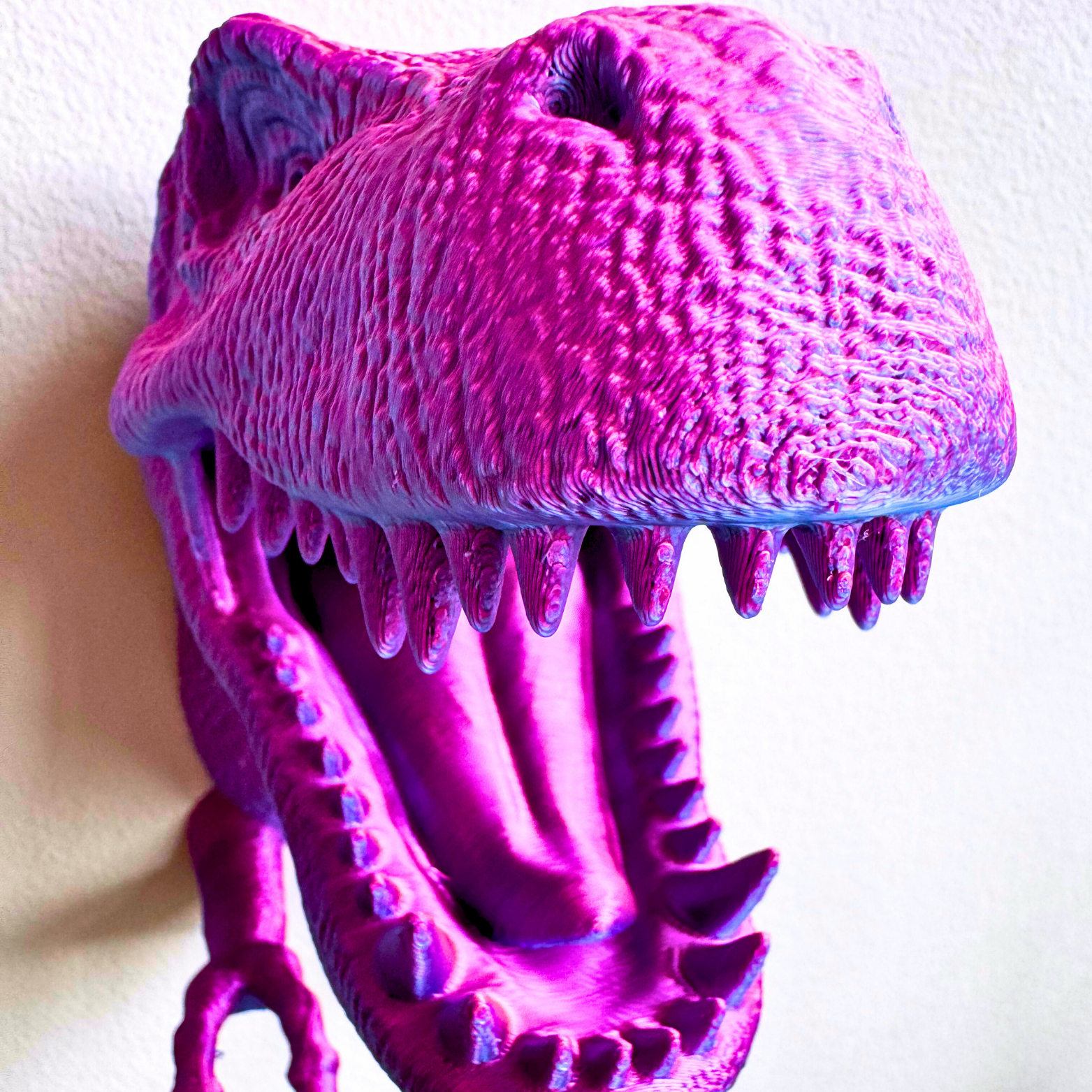 Dragon Fidgets – Großhandel Wanddeko - Kind & Baby – T-Rex Zubehörhalter zur Wandmontage28