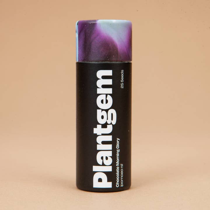 Chocolate Morning Glory - 20 Seeds for wholesale by Plantgem