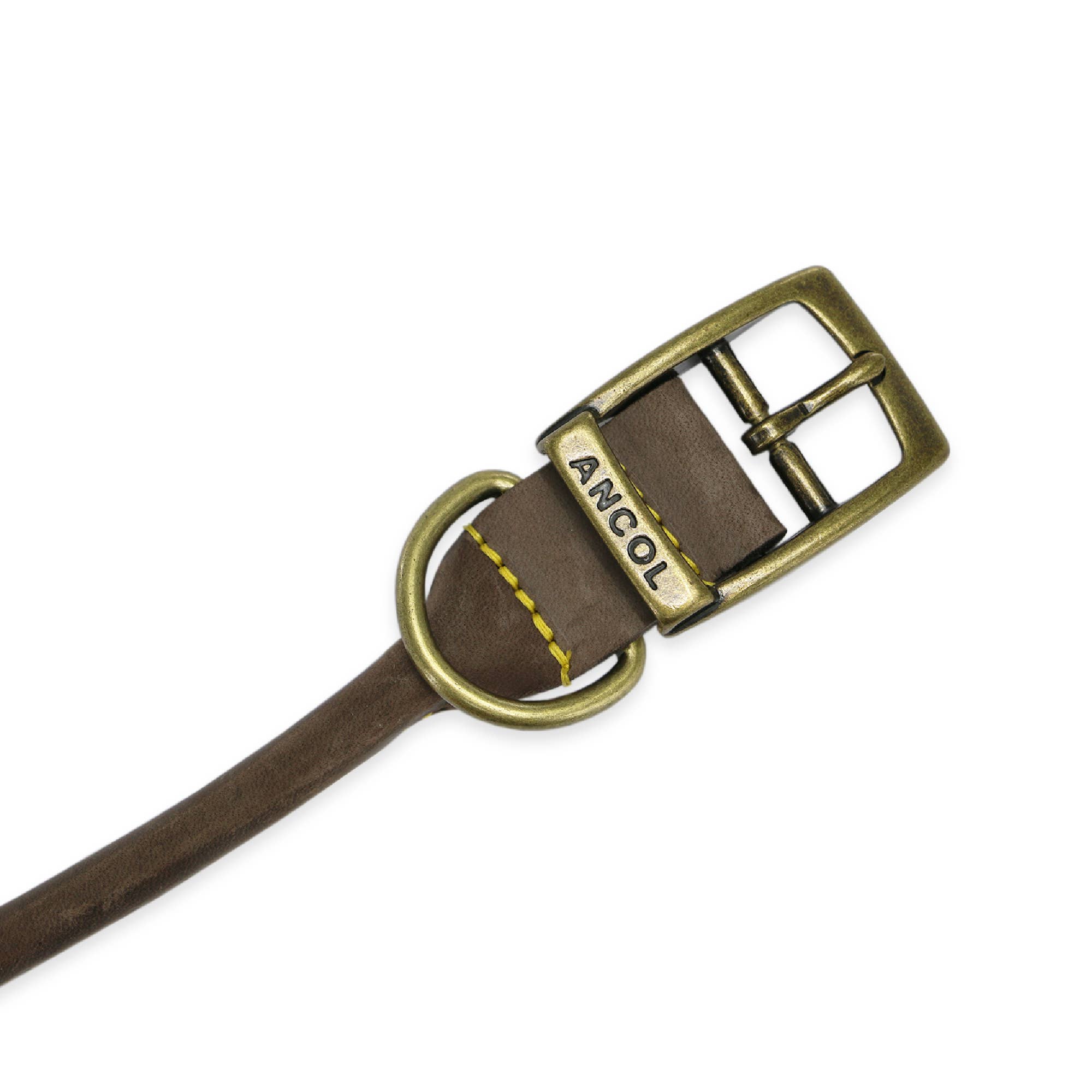 Ancol Pet Products Ltd - Wholesale Pet Collar - Dog - Timberwolf Round Collar6