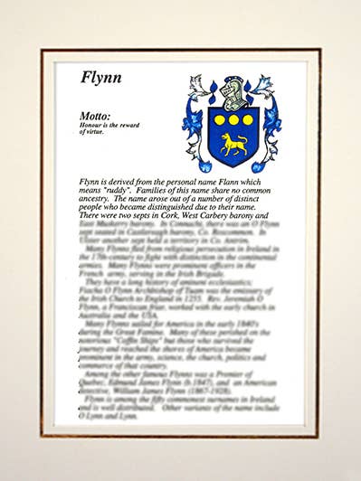 Flynn for wholesale by Family Histories