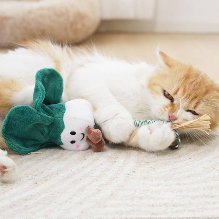 Cheerhunting - Wholesale Pet Toy - Cat - Moo – Plush Vegetable Cat Teaser Wand11