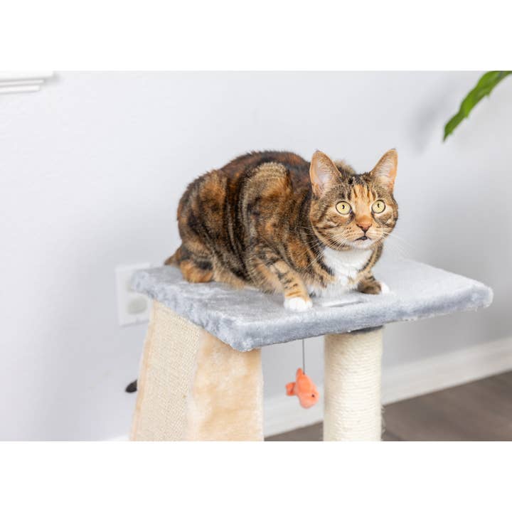 Armarkat - Wholesale Pet Scratcher - Cat - Armarkat 2 Level Platform Scratcher Real Wood Cat Post7