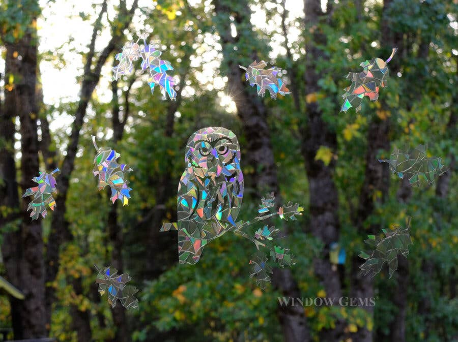 Window Gems – Suncatcher por atacado – Autocolantes de Janela com Coruja Saw-Whet - Prismas Captadores de Sol - Salve os pássaros1