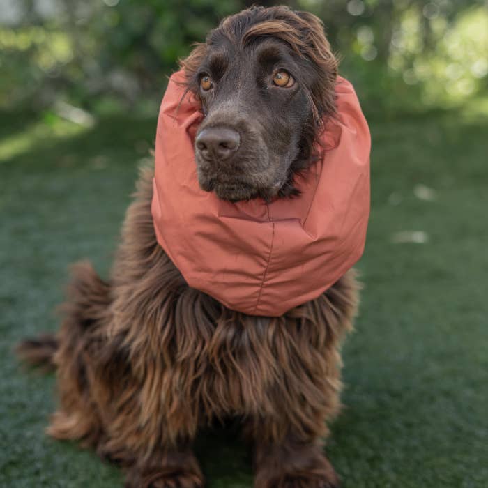 Pajé Snoods - Wholesale Pet Snood - Dog - Waterproof Snoods5