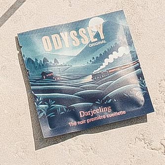 Rack of 25 Darjeeling collector bags for wholesale by Odyssey