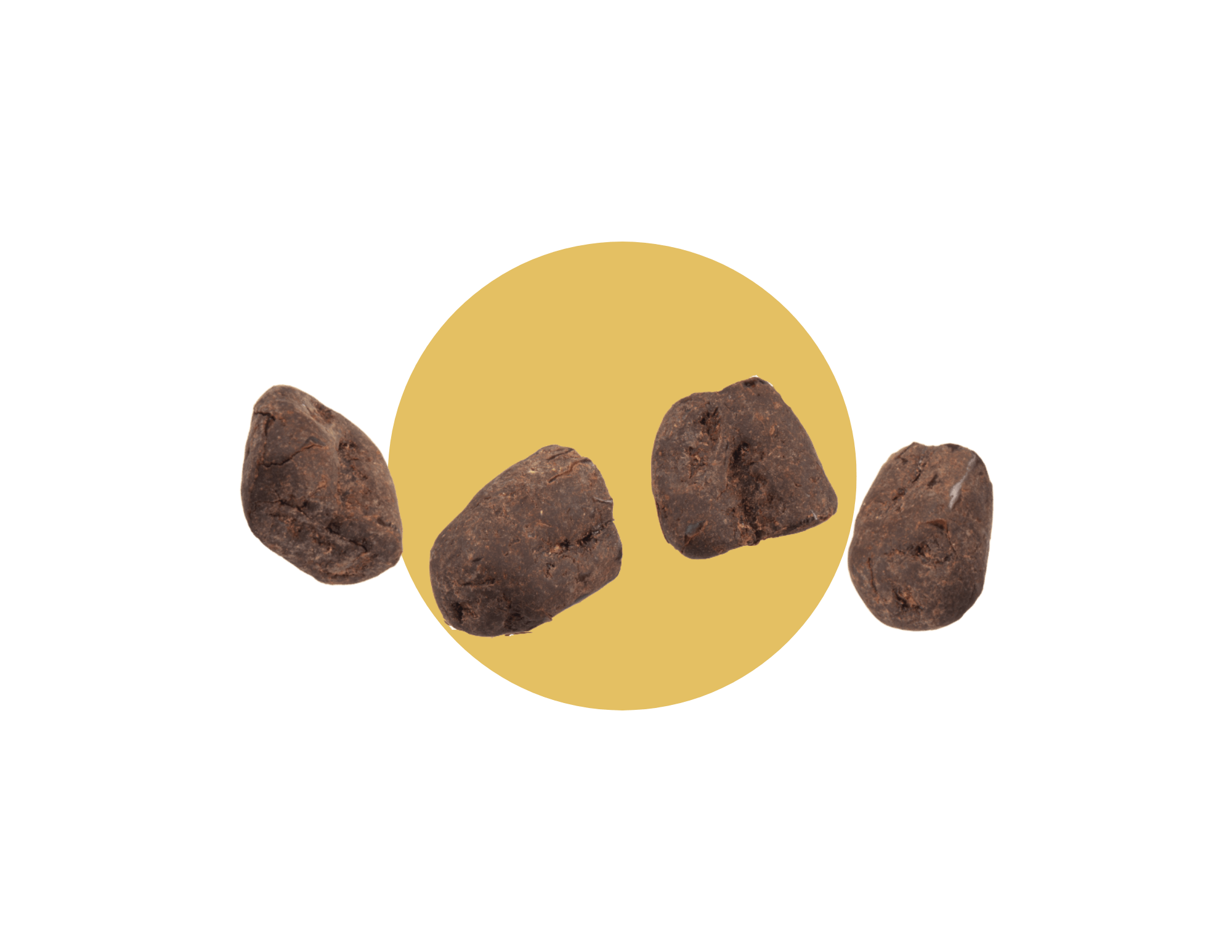 nud fud Inc. - Wholesale Chocolate Covered Sweets - Chocolate Covered Dates1