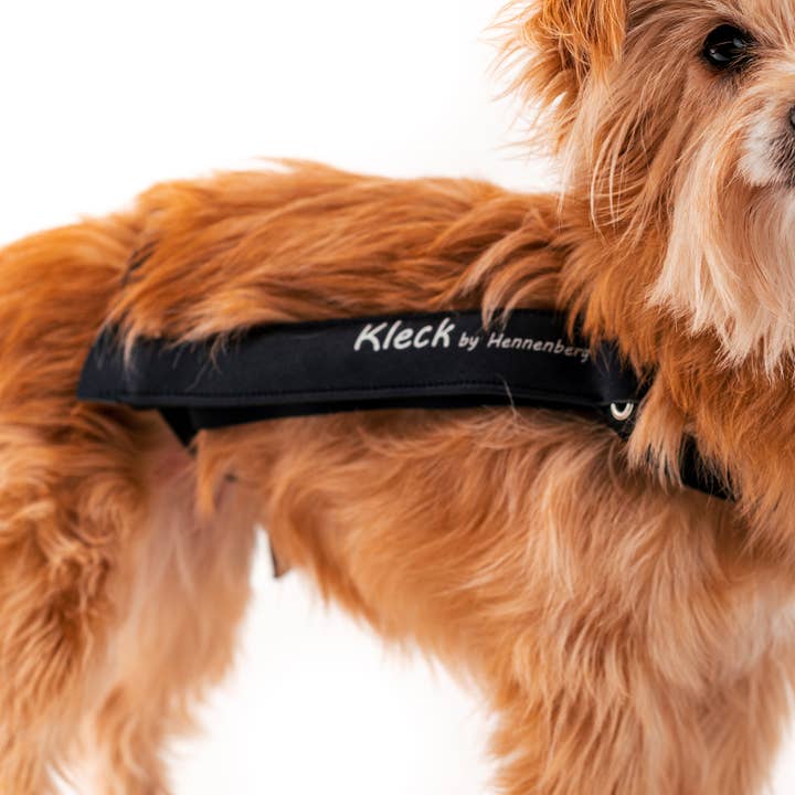 Protection anti-fuite pour la vente par Kleck