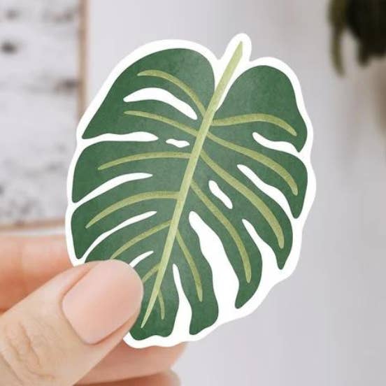 Monstera sticker - Kiss Cut houseplant sticker for wholesale by Tilda&Theo