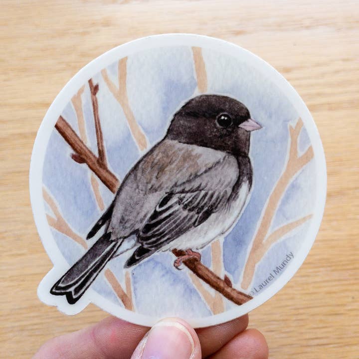 Dark-eyed Junco 3" Medium Vinyl Sticker Waterproof for wholesale by Laurel Mundy Illustration