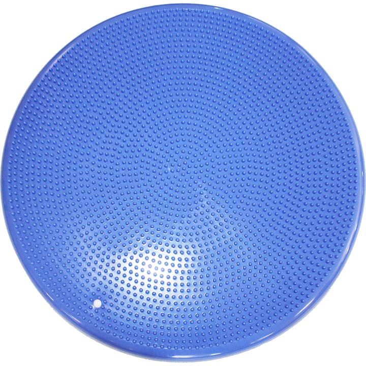FitPAWS - Wholesale Pet Toy - Dog - FitPAWS® Balance Discs, 22" large