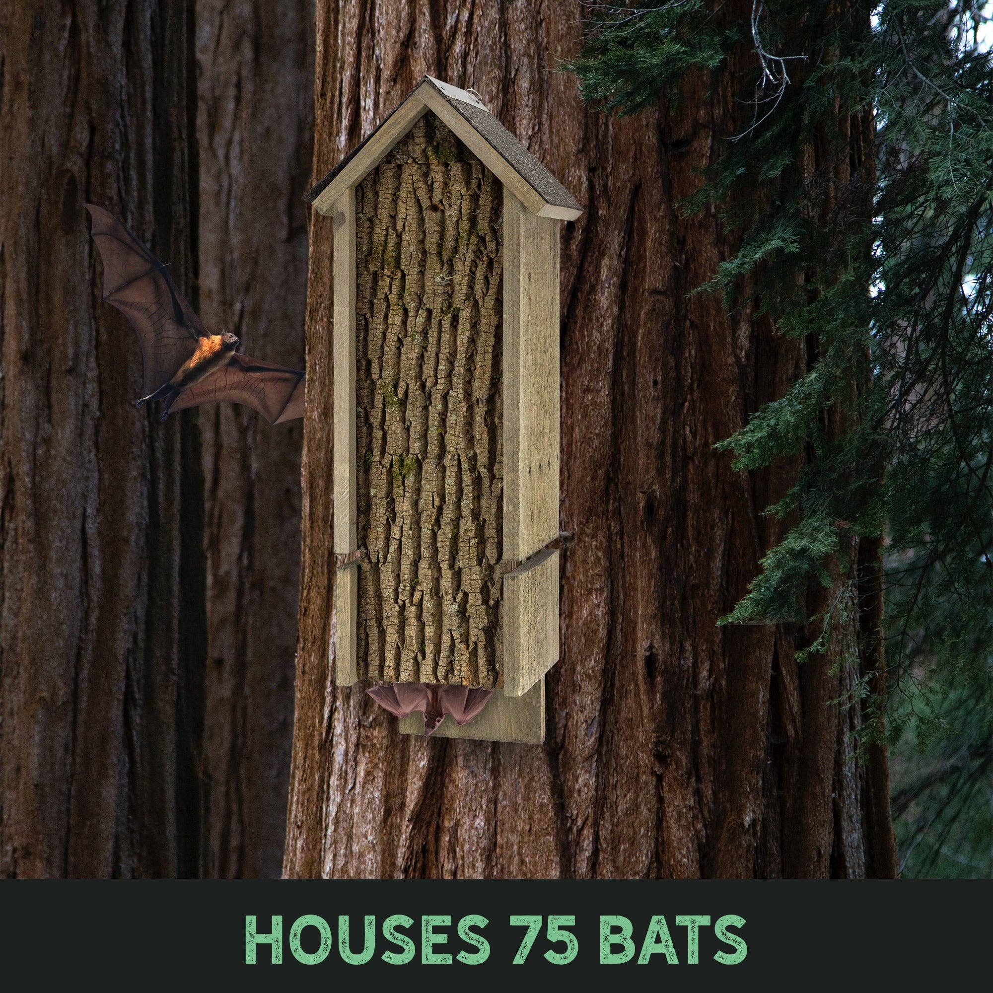 Kurated Korner – wholesale Bird house – Uncle Dunkel's Multi-Chamber Bat House1