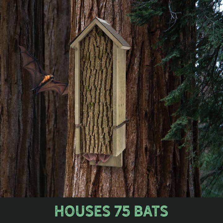 Kurated Korner – wholesale Bird house – Uncle Dunkel's Multi-Chamber Bat House1